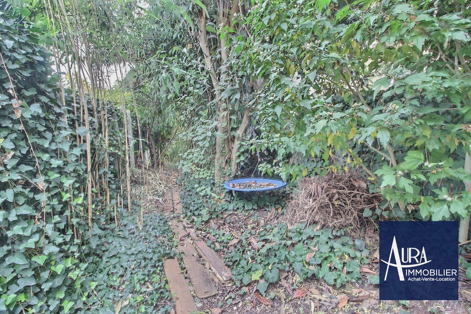 Property view 3